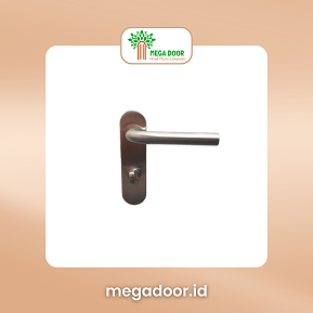 Door Handle 06